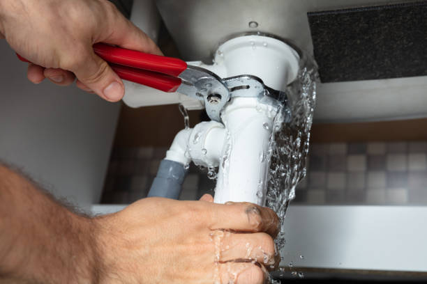 Best Water damage restoration services  in Petal, MS
