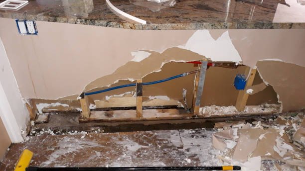Best Basement water damage restoration  in Petal, MS