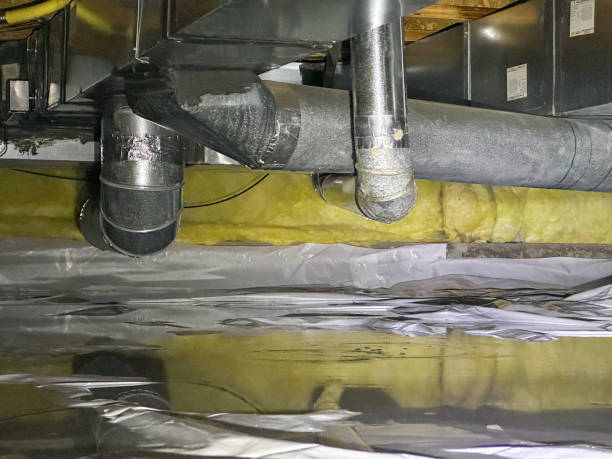 Best Water damage restoration near me  in Petal, MS