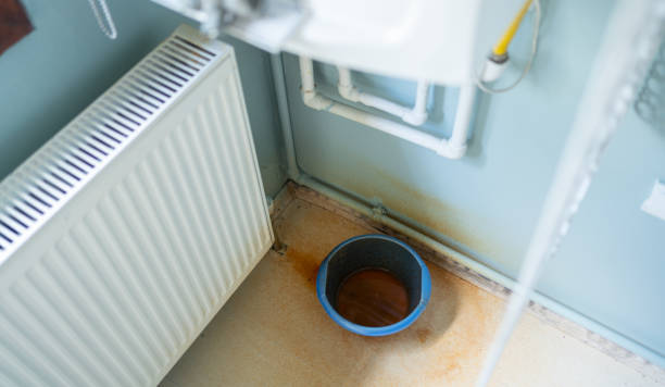 Best Water damage restoration process  in Petal, MS