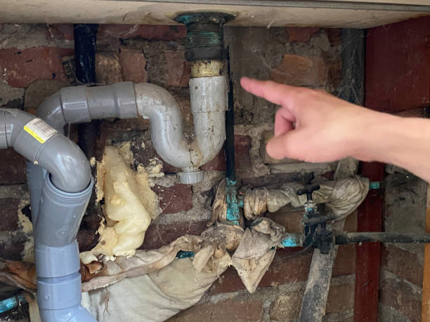 Best Professional water damage repair  in Petal, MS
