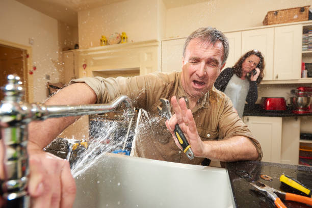 Best Local water damage restoration  in Petal, MS